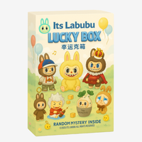 Its Labubu Lucky Box – Mystery Set of 3